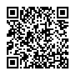 当然……如果你现在坚持就让我们先放一个人也可以二维码生成