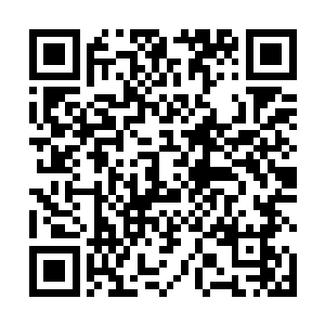 当然也不会就屁颠屁颠的跟着张铁一起去做同样的训练二维码生成