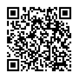 当然也时不时会扭头看看在厨房里忙碌的夏云杰二维码生成