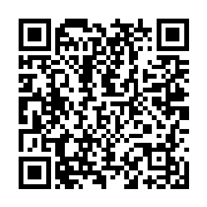 当然他不会和那几名被追杀的血族选择同一个方向二维码生成