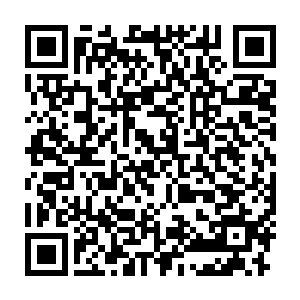 当然光头强这种心态落在沈丽缇等人的眼里却难免成了一种盲目和迷信二维码生成