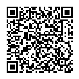 当然就是那座登峰造极到让后世太安城都不得不去模仿的大楚皇宫二维码生成