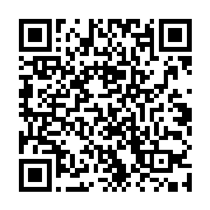 当然是可惜你就要把你的小命留在这里了你还不自知啊二维码生成