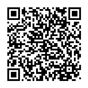 当然更加让他激动不已的还是眼下非常有可能实现的可控核聚变实验二维码生成