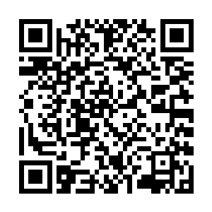 当然确定说着金界公爵把手摊开准备接受这七星天咒二维码生成