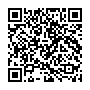 当然这个计划关系着将来巫咸门弟子飞升仙界后的发展二维码生成