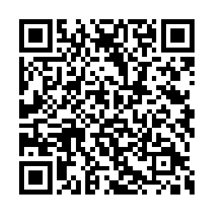 当然金在珉也是借机把少女时代介绍给他们认识二维码生成