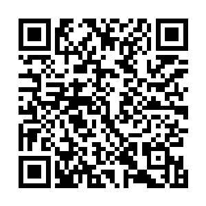 当然金在珉嘴角幸福的笑容已经挡也挡不住的显露出来了二维码生成