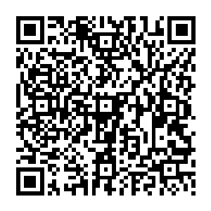 当然非同一般的网络力量开始扒拉出当年那个为了妹妹似乎在给大人物开车的司机二维码生成