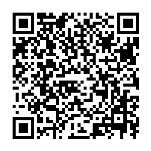 当看到面前画面中不断的播放着一个老年约翰和大反派之间的恩怨情仇二维码生成