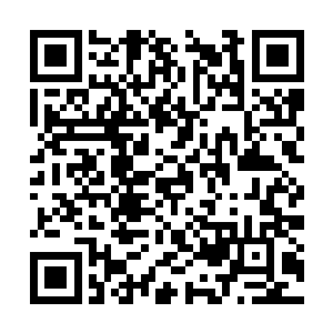 当苏落几乎将书架上的藏书几乎都过滤一遍的时候二维码生成