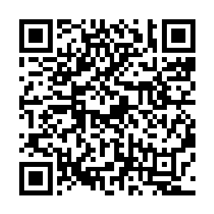 当苏落听到一阵魔兽森林里爆发出一阵鬼哭狼嚎的惨叫声时二维码生成