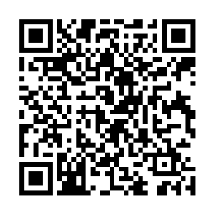 当轮到他选人的时候直接便秒选了一个最为经典的中路刺客二维码生成