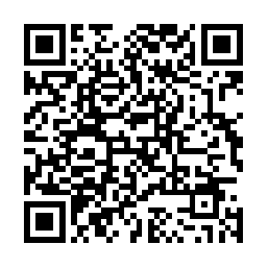 当这天晚上张大牛结束了长达五个小时连续不断的敲击之后二维码生成