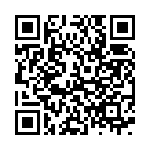 当这款系统搭配4g网络会有多么顺畅的用户体验二维码生成