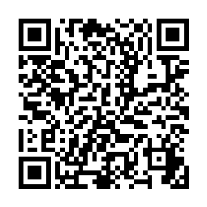当那只抬起的手与扑下的浑身燃烧着熊熊火焰的巨兽撞上时二维码生成