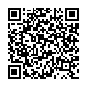 当那只滑腻的小手微微划过秦方那结实的小腹的时候二维码生成