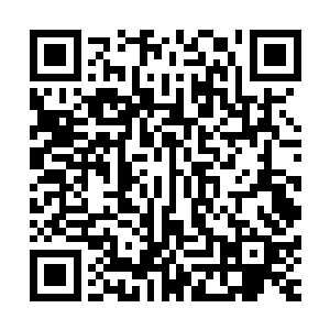 当雨果这样一个初次见面的陌生人毫不留情地批判他的作品时二维码生成
