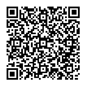 彘儿和大川第一次卖金银花的120文还有贵妇人赏给彘儿的两个银裸子也有一两多重二维码生成