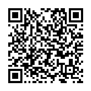 彤彤经过考试顺利成为管辖唐人街一带分区警署的警员二维码生成