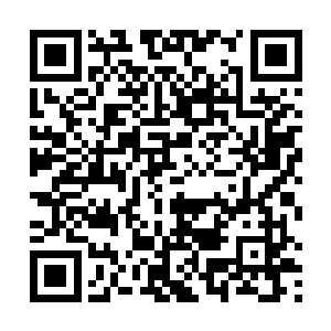 往往也是尽可能的会安排一些老兵或者经验丰富的头目二维码生成