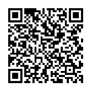 往日里疏忽了华夏军势力的天下大族们会来试探华夏军的斤两二维码生成