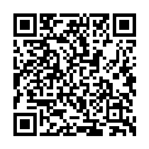 很像是万灵神界的万兽门中流传下来的五行剑诀二维码生成