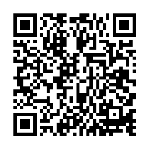 很多喜欢艺术品的贵族都会投资建造一些小型的博物馆二维码生成