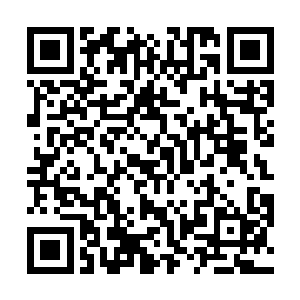 很多正经渠道买不到的药材据说这里只要给钱就买的到二维码生成