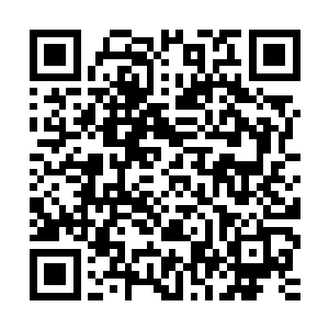很多高手用残忍的方式来抽取高手和野兽的神念来人为制造至宝二维码生成