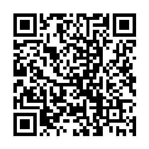 很快不知道从什么方向一团冰气从树林之中飞舞了上来二维码生成