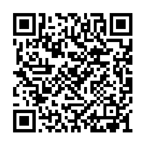 很快他们也终于看到了偷袭他们的是什么东西了二维码生成