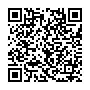 很快他们就弄清楚所谓的林海公寓到底是什么地方二维码生成