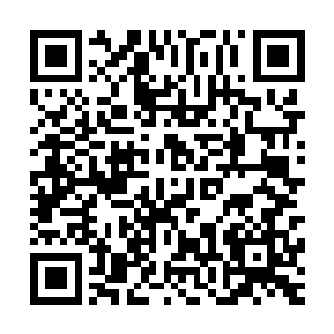 很快你就会看到…因为你的原因苏醉蝶需要承受什么样的惩罚二维码生成