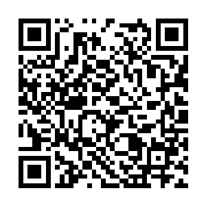 很快又被魔虫王的召唤给强行撤回防护符咒膜边缘二维码生成