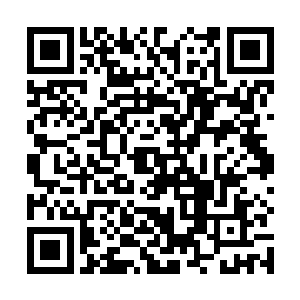 很快发现狼蛮人转身的时候丢掉的人族尸体和牛羊尸体二维码生成