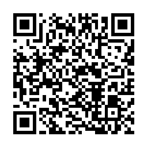 很快就把张潇晗得有一个道侣的事情看成宗门内部的事情了二维码生成