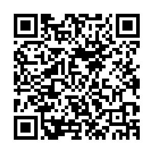 很快就抓住了问题的关键――不是研究为什么杨辰会突然回国二维码生成