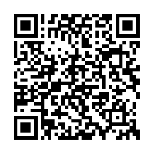 很快张凡是跨国组织的人的消息就已经遍布全国二维码生成