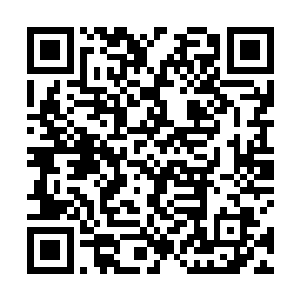 很快恢复常态后开始仔细看我摆在他面前的那几件古董二维码生成