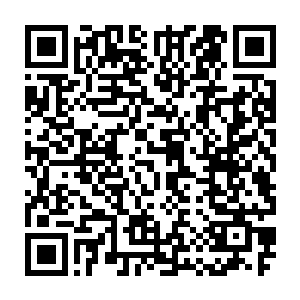 很快手脚麻利的把那种粉红色的药水和其它的药剂收拾了一下交给了雷欢喜二维码生成