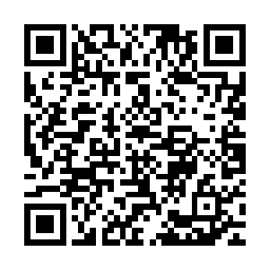 很快洛清越就将想要离开的修士的修为等级和名字一一统计出来二维码生成