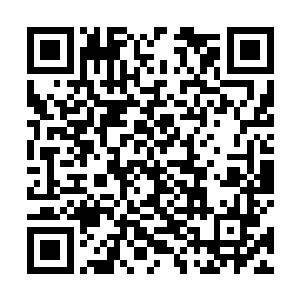 很快红烧排骨就被夏云杰端上了摆放在客厅的折叠桌上二维码生成