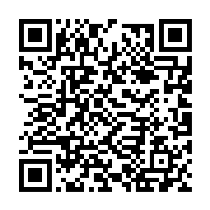 很快这一份资料我就会交给你们的门主东方霸天了二维码生成