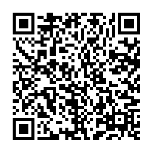 很快雷林就发现自己的记忆区里面又多了三个法术模版的相关知识二维码生成