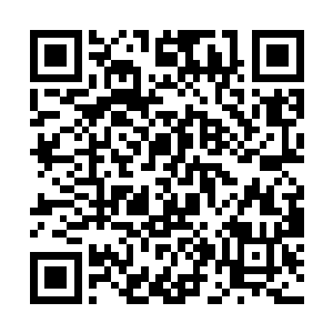 很想问问这个无心的社长什么时候他们晚上有开业了二维码生成