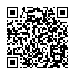 很明显这一大家子的确是个庞大又具有蓬勃生机的家族了二维码生成