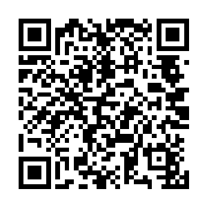 很显然丁叮的婚礼在一定程度上面还是刺激到了他们的神经二维码生成