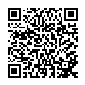 很显然丁羽并不会无缘无故的让自己的这位师兄来实验室这边的二维码生成