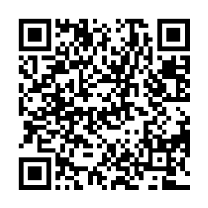 很显然丁羽还是觉得现在撕开的口子有那么一些不够大二维码生成